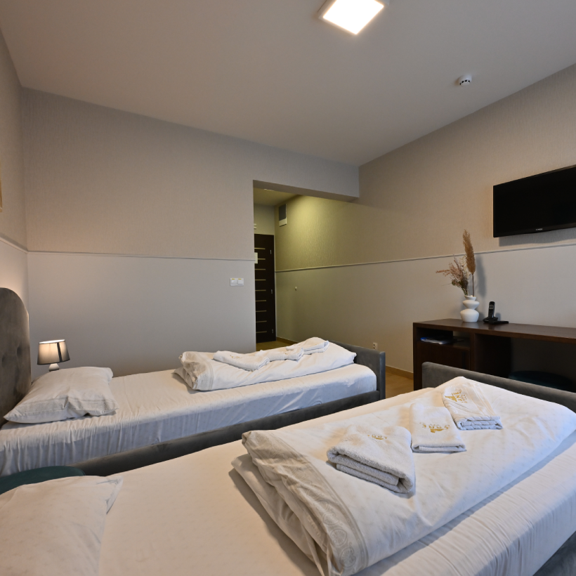 Luksuzna soba 103 sa balkonom – Hotel Lane Sjenica