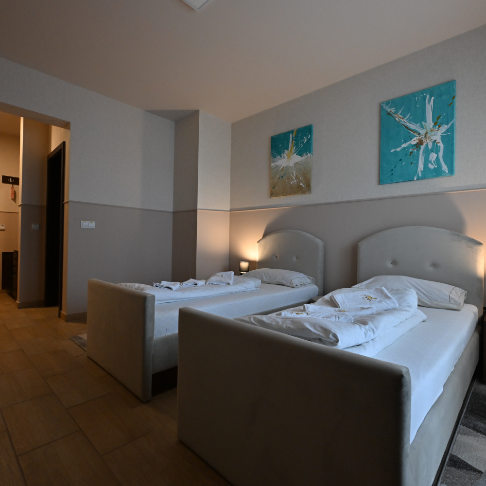 Luksuzna soba 104 sa balkonom – Hotel Lane